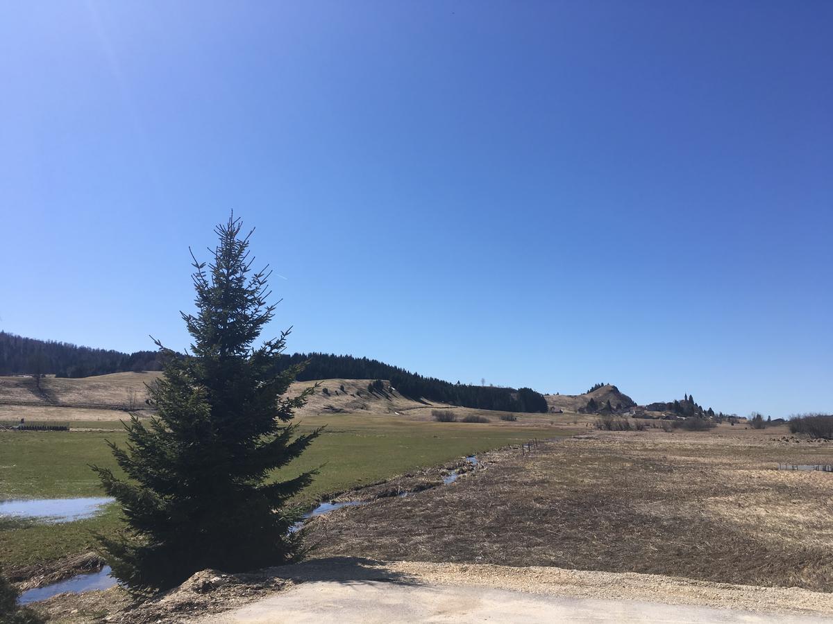 Hotel Les Tremplins La Chaux Neuve Dış mekan fotoğraf